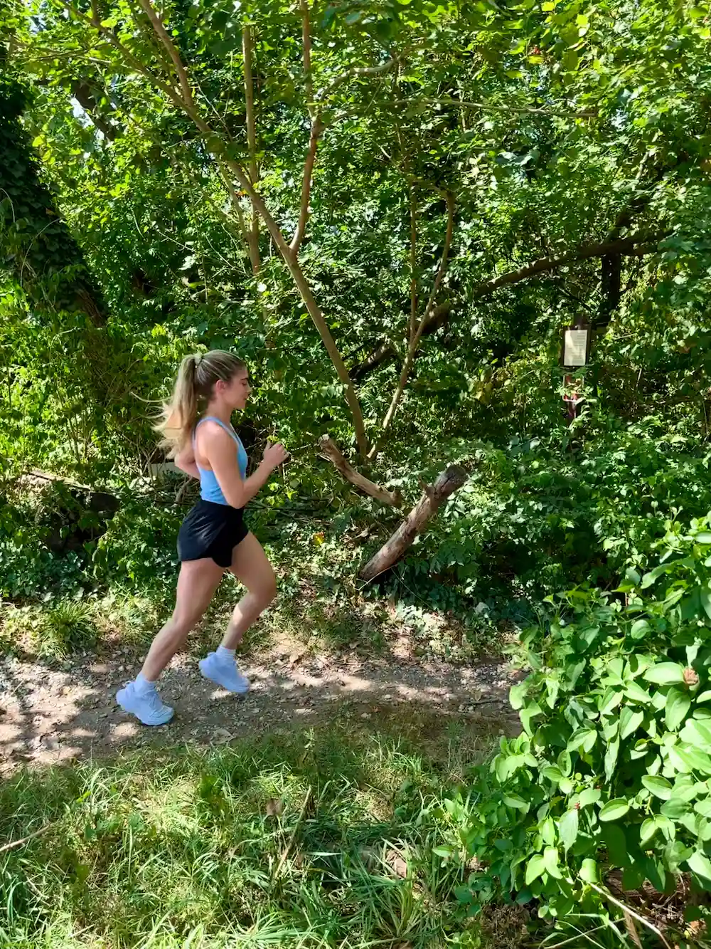 Person jogging on forest trail in summer